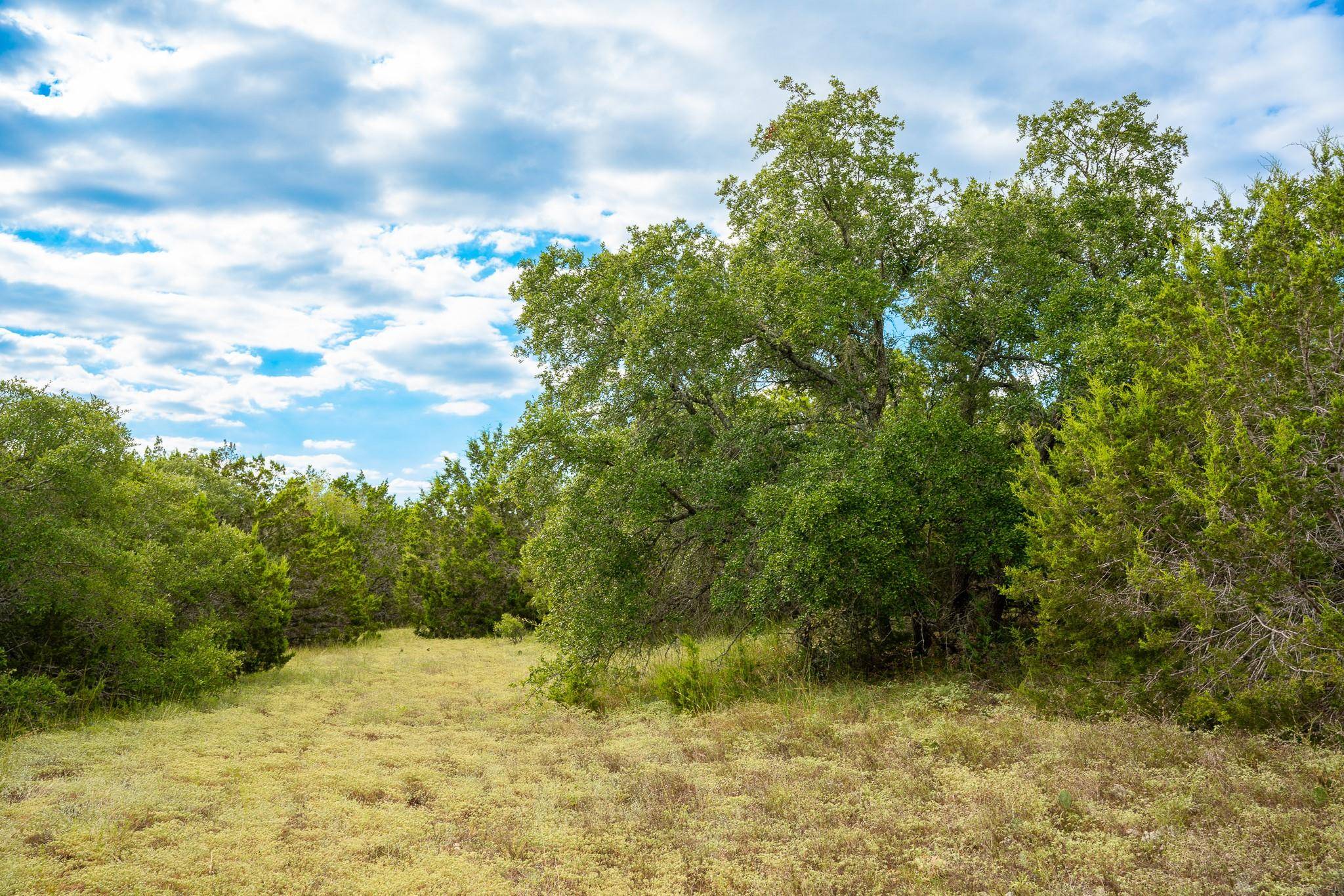 31171 Ranch Road 12, Dripping Springs, TX 78620