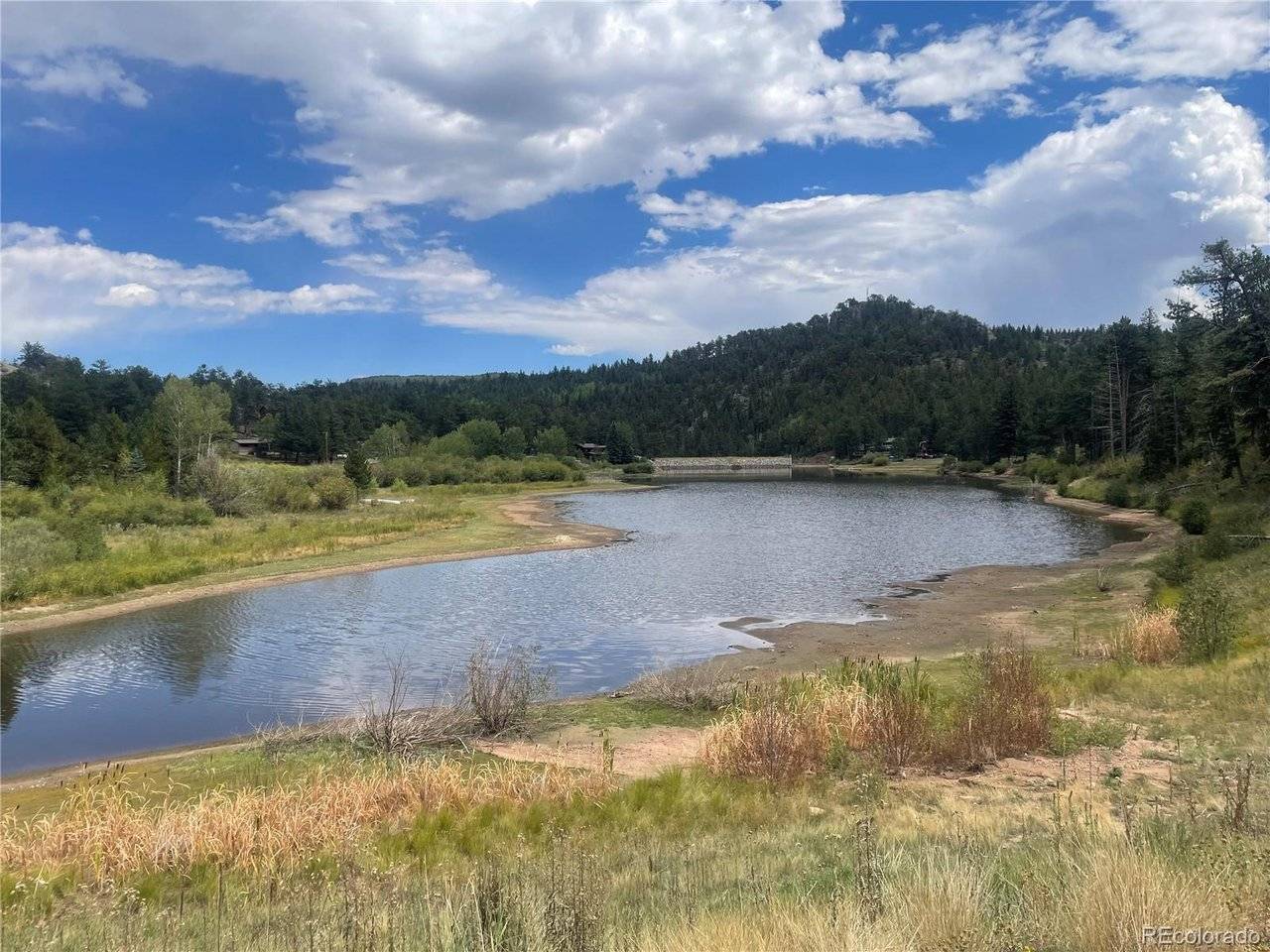 Cedar, Lyons, CO 80540