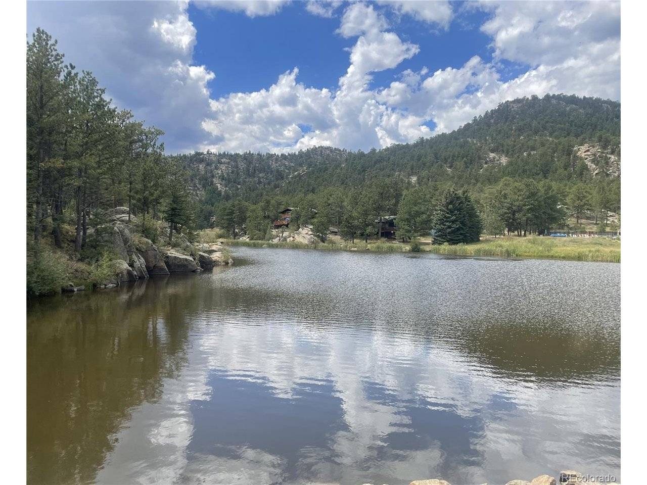 Cedar, Lyons, CO 80540