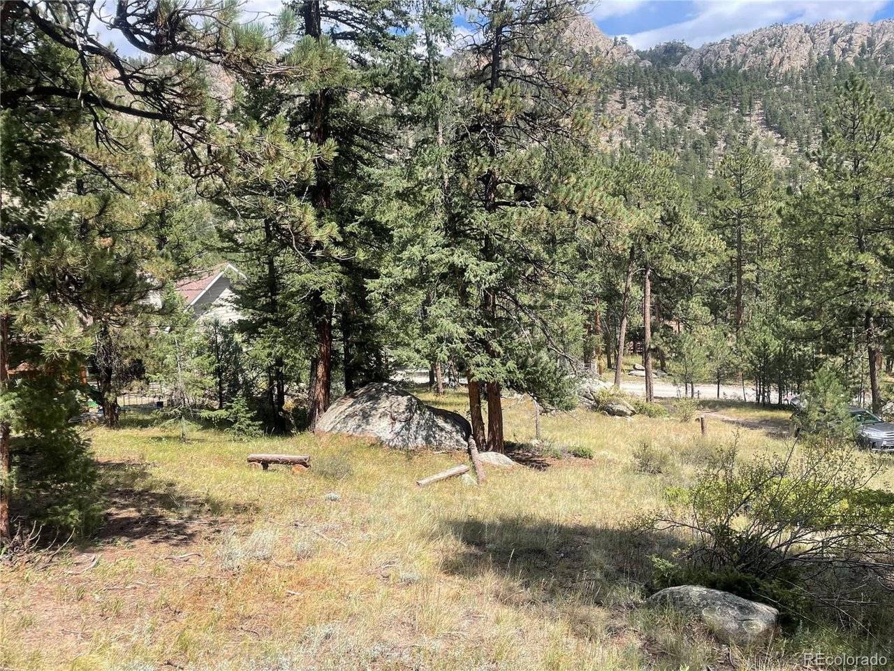 Cedar, Lyons, CO 80540