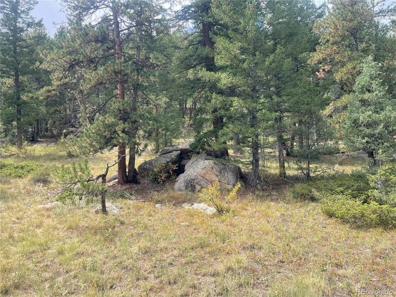 Cedar, Lyons, CO 80540
