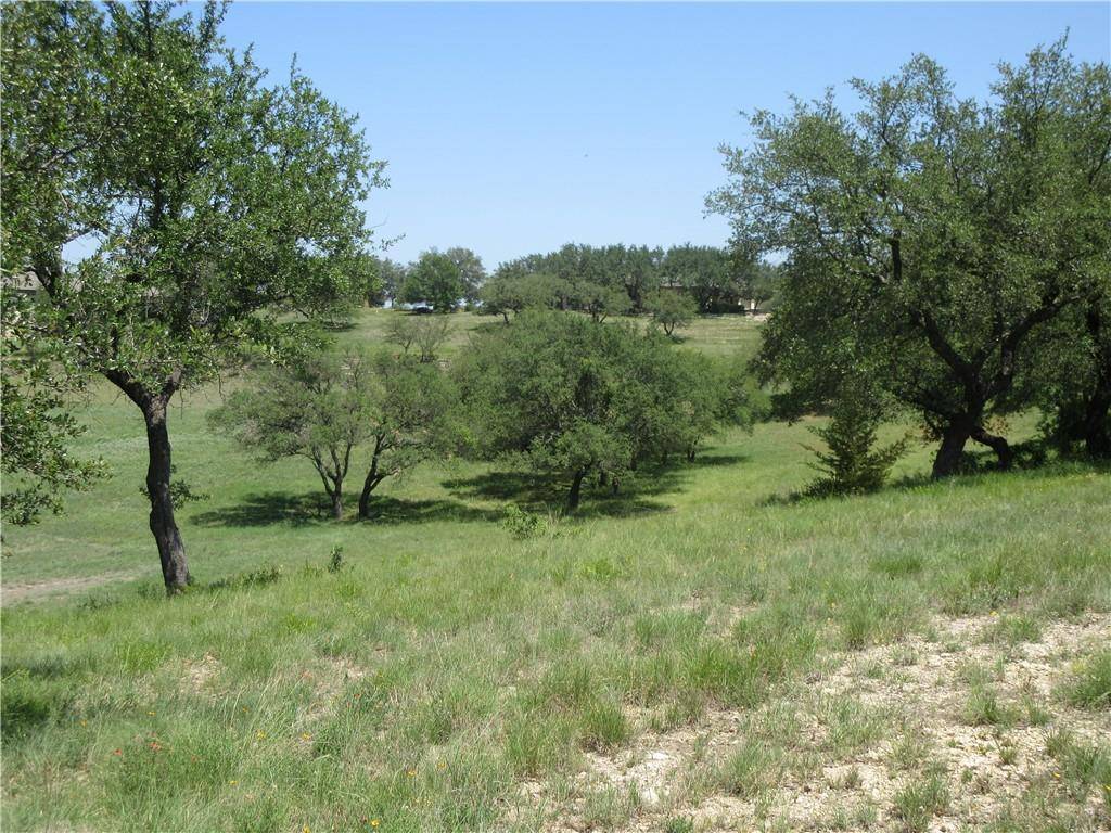 113 Quail PT, Spicewood, TX 78669