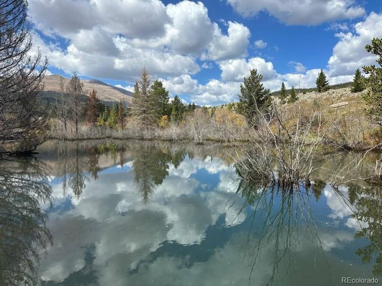33 E Northrup, Alma, CO 80420