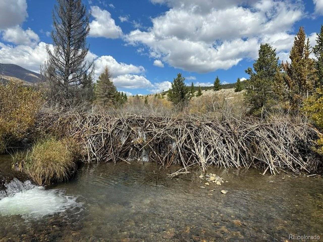 33 E Northrup, Alma, CO 80420