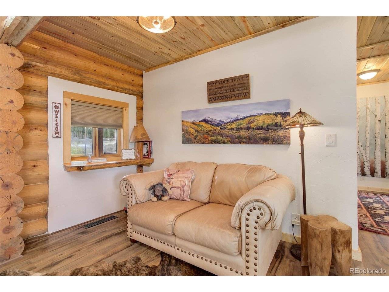 824 Cr-6, Alma, CO 80440