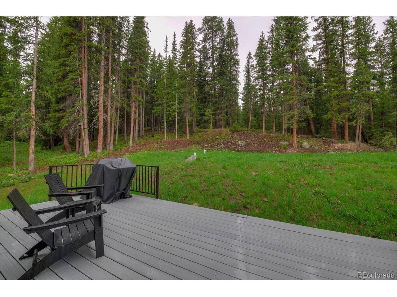 563 CR 672, Breckenridge, CO 80424