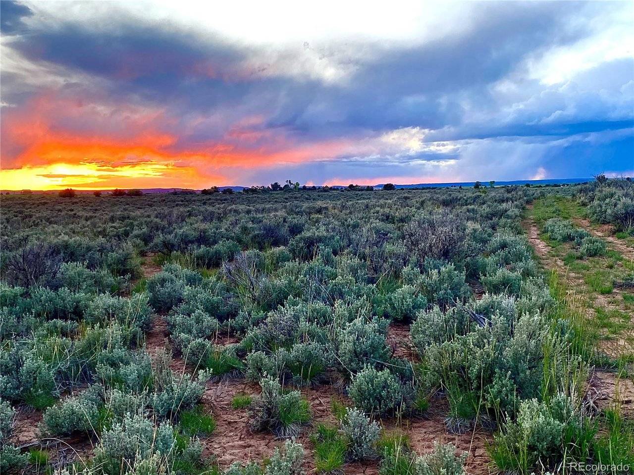 2907 County Road 128, Hesperus, CO 81326