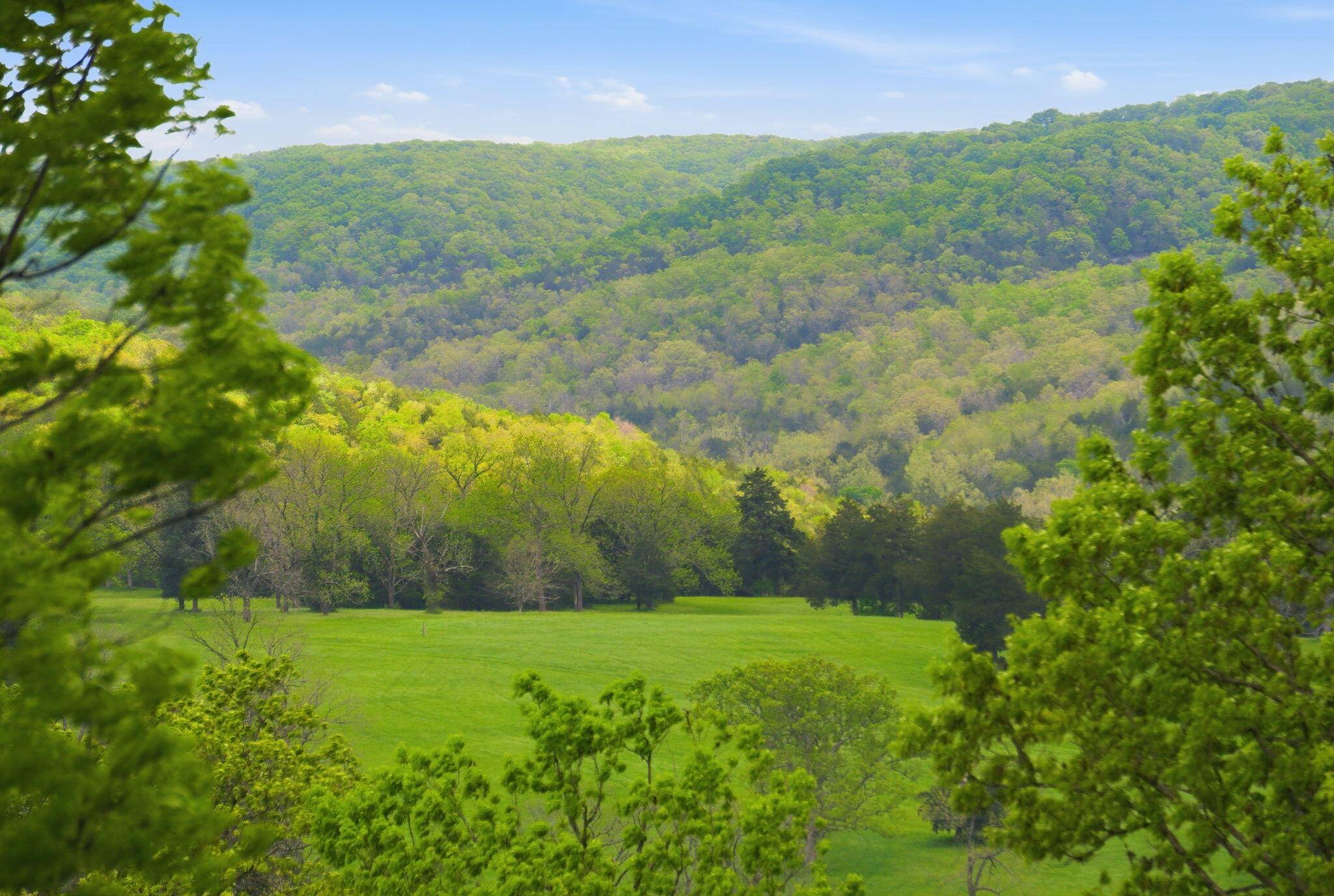 Lot 2 Meadowview LN, Saddlebrooke, MO 65630