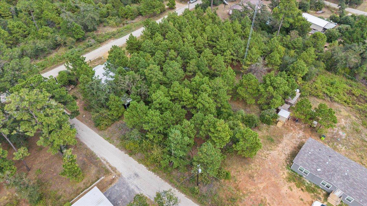 259 Pinehill DR, Bastrop, TX 78602