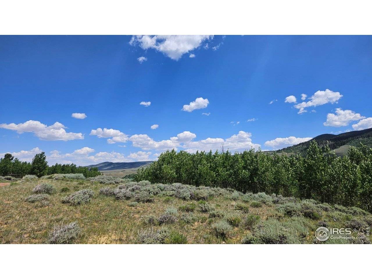 80 Trapper, Jelm, CO 80545
