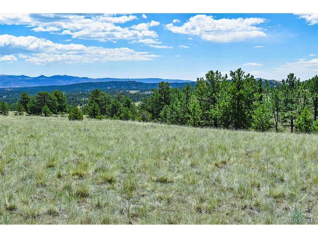 0 Witcher Mountain, Guffey, CO 80820