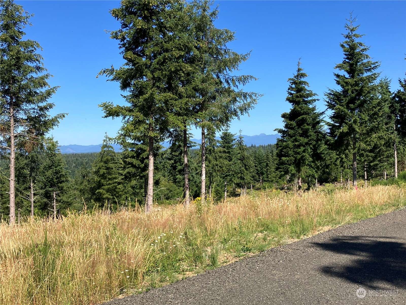 1 E Lone Fir Drive DR E #Div 2, Shelton, WA 98584