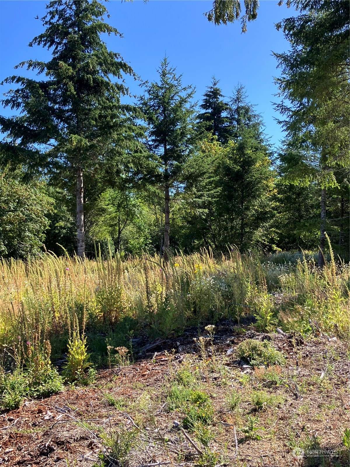 1 E Lone Fir Drive DR E #Div 2, Shelton, WA 98584