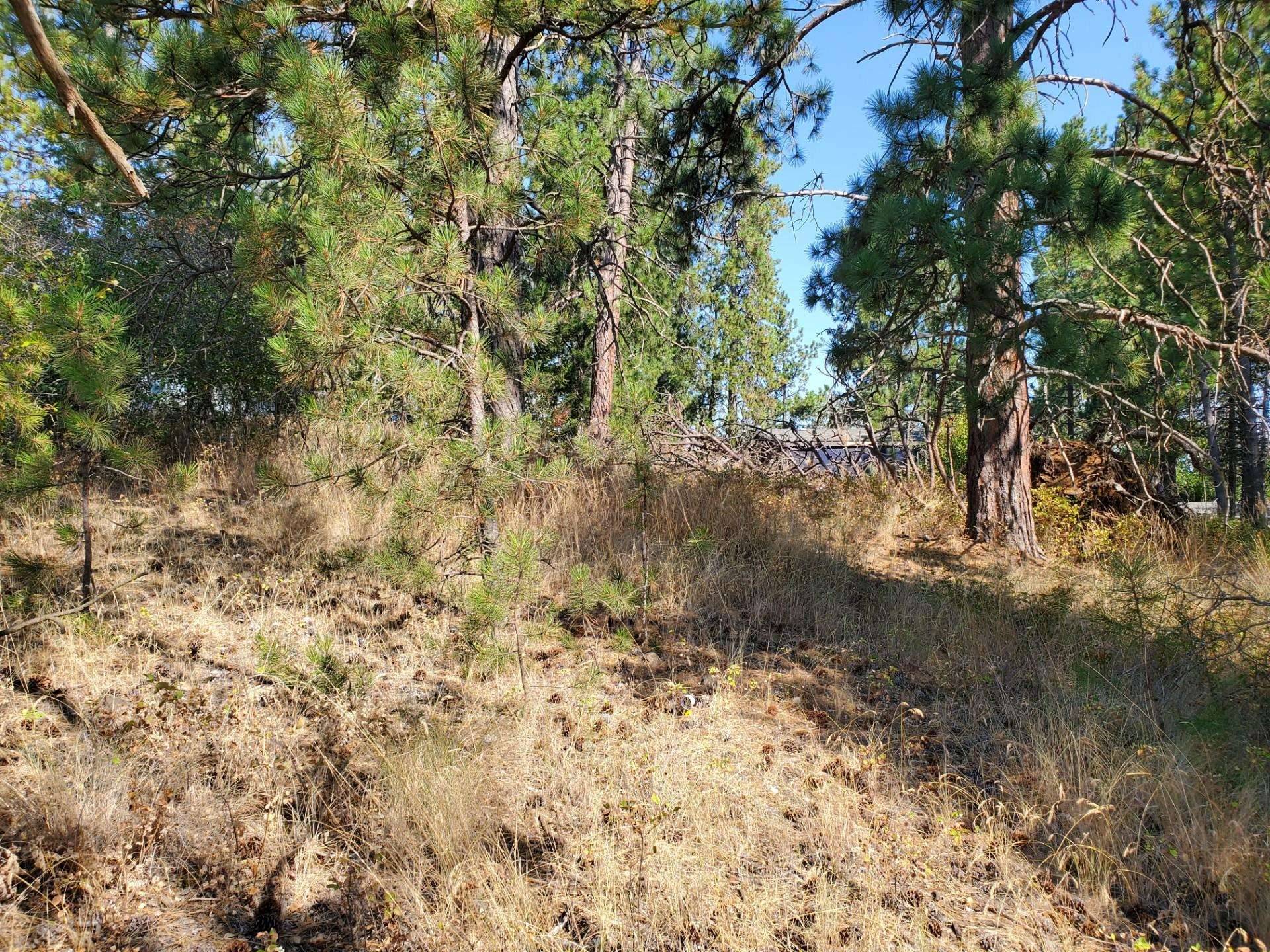 NKA Old School Rd, Rockford, WA 99030