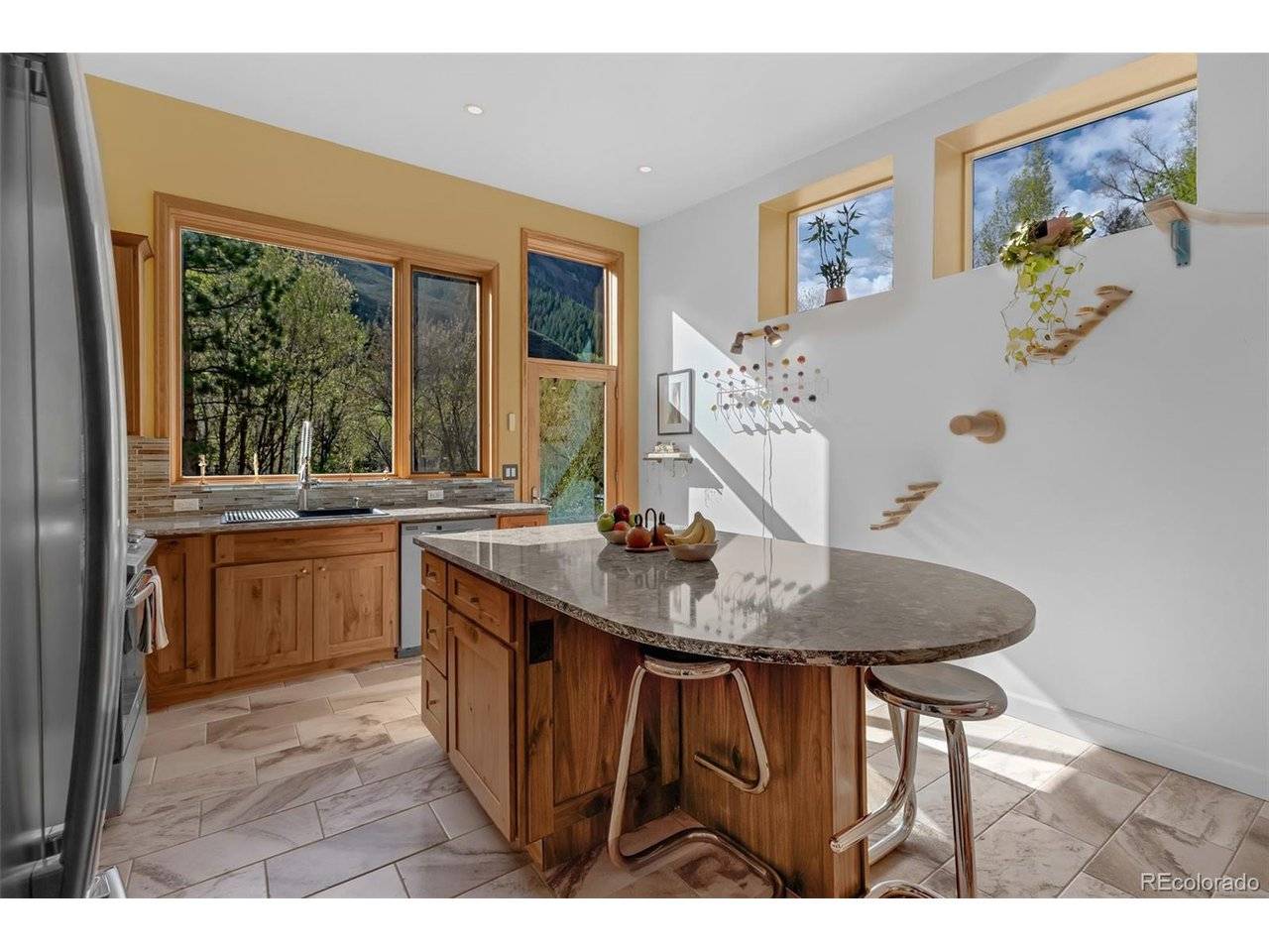 103 Trout Run, Carbondale, CO 81623