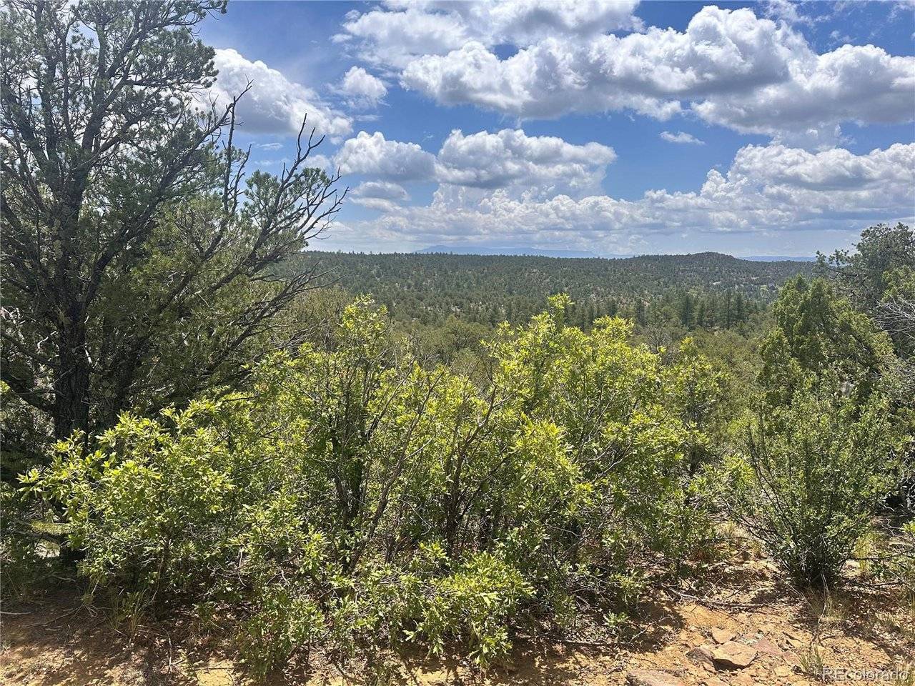 0 El Toro Way, Boncarbo, CO 81082