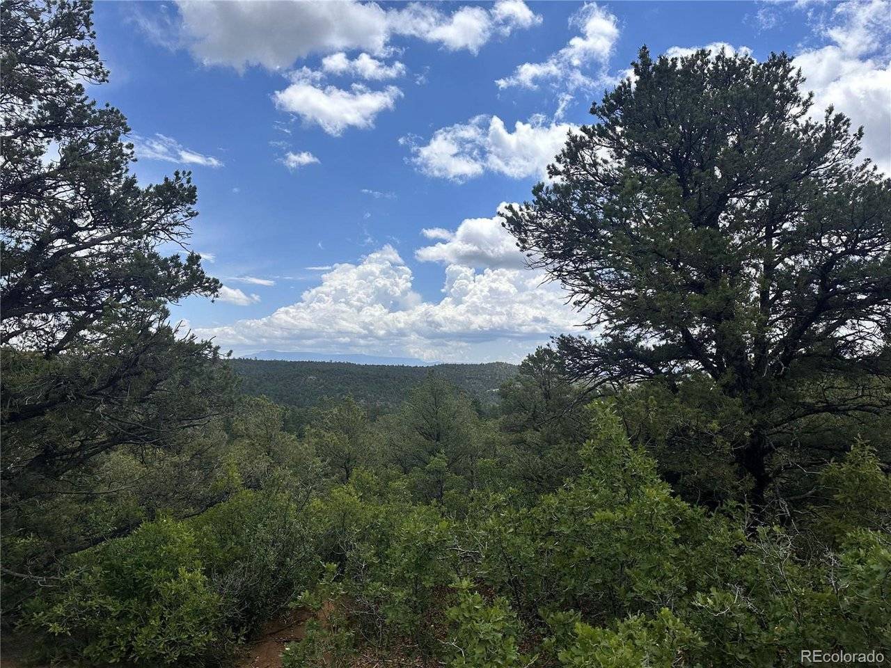 0 El Toro Way, Boncarbo, CO 81082