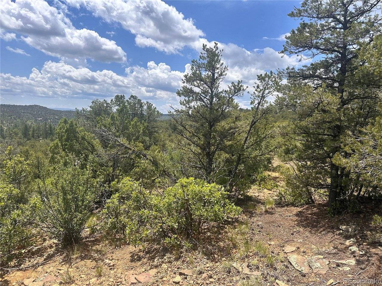 0 El Toro Way, Boncarbo, CO 81082