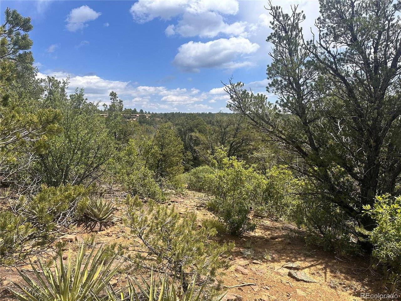 0 El Toro Way, Boncarbo, CO 81082