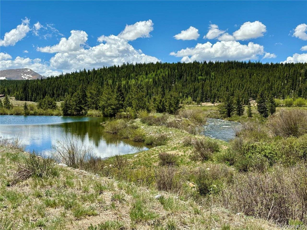 700 Cottage Grove, Alma, CO 80420
