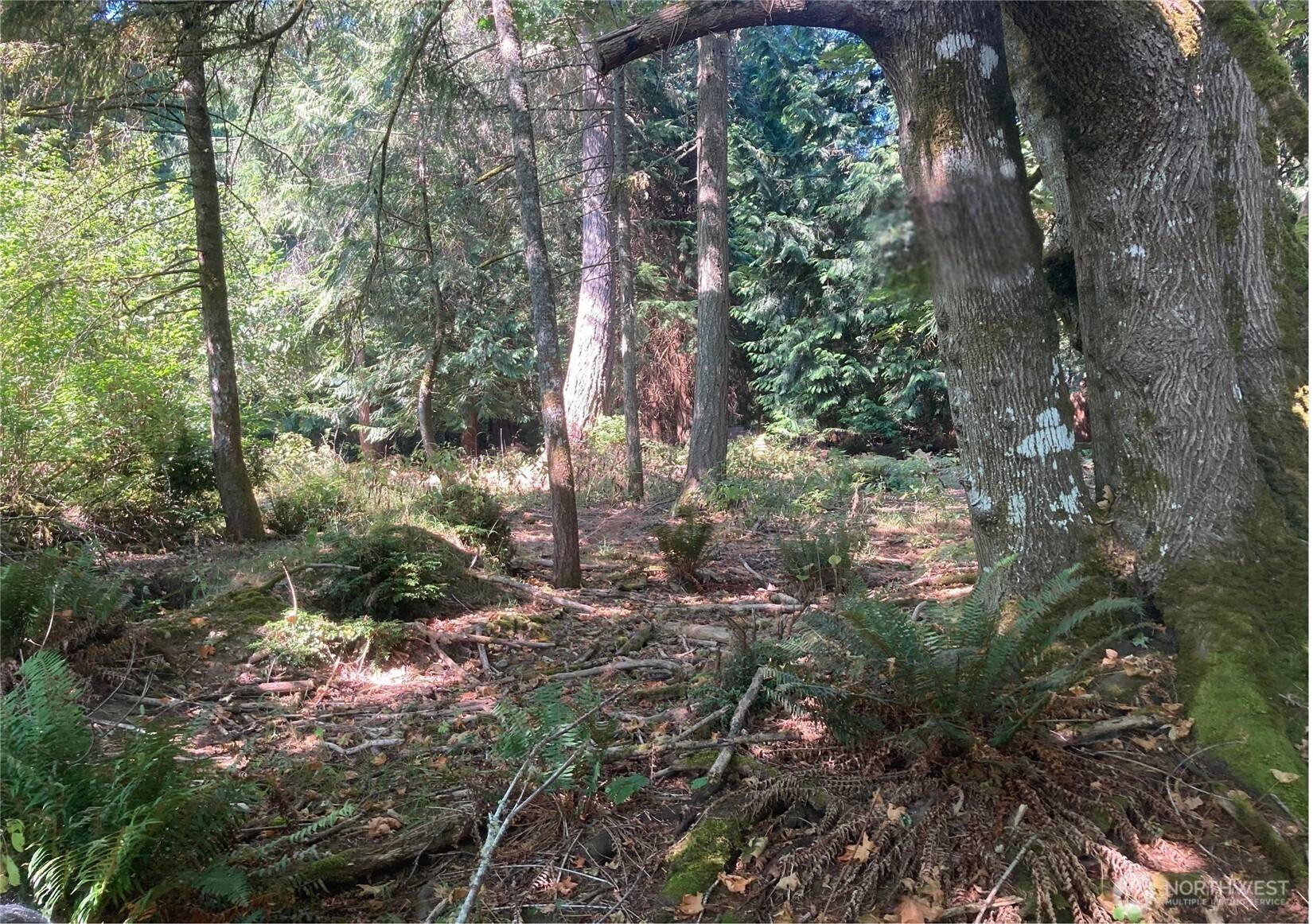 10919 Riviera DR, Anderson Island, WA 98303
