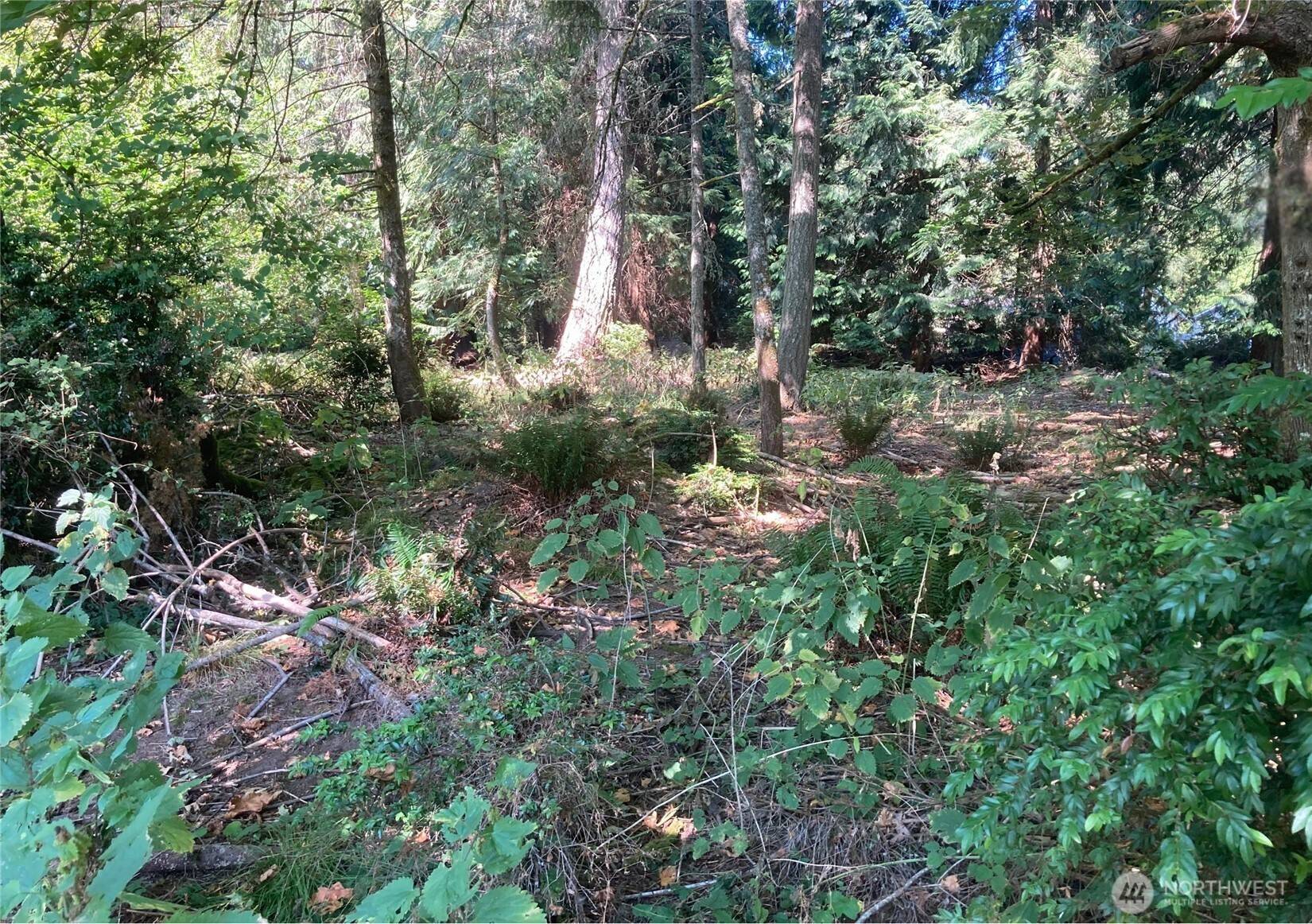 10919 Riviera DR, Anderson Island, WA 98303
