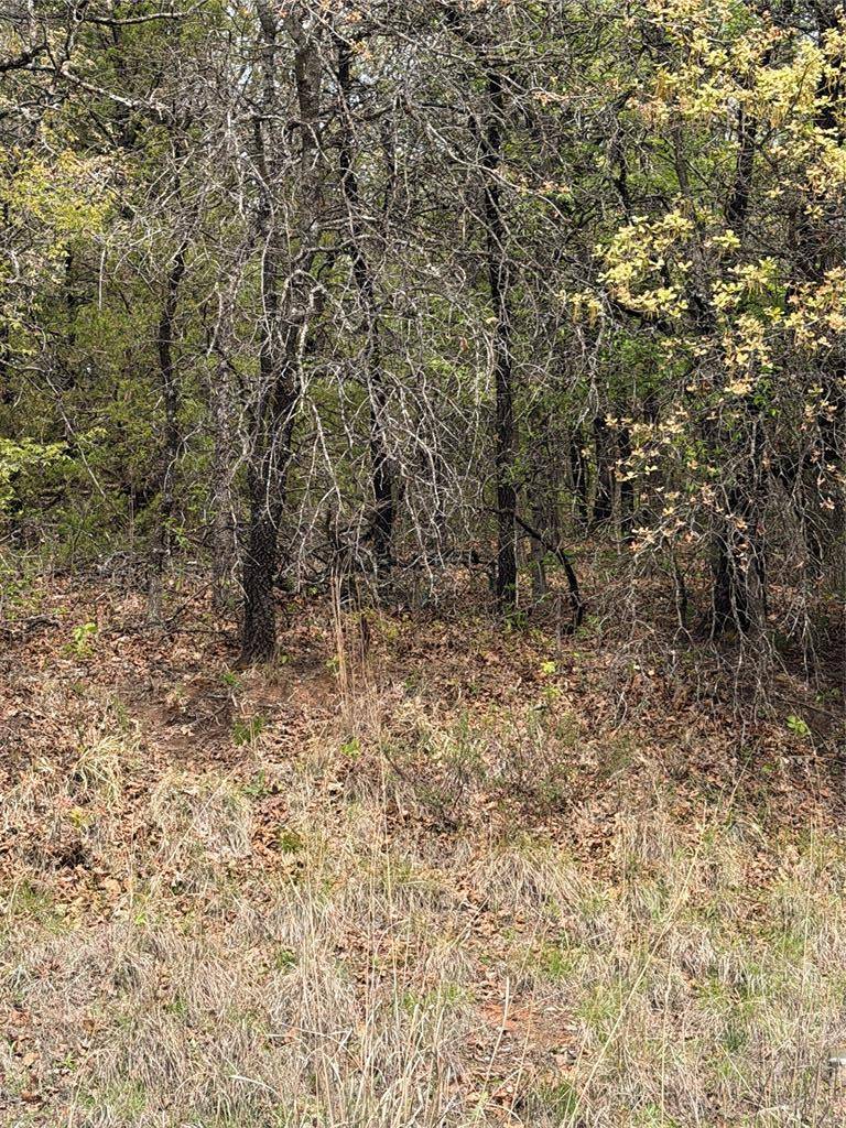 17980 S Cliff RD, Newalla, OK 74857