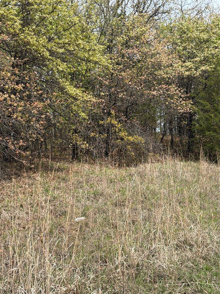 17980 S Cliff RD, Newalla, OK 74857