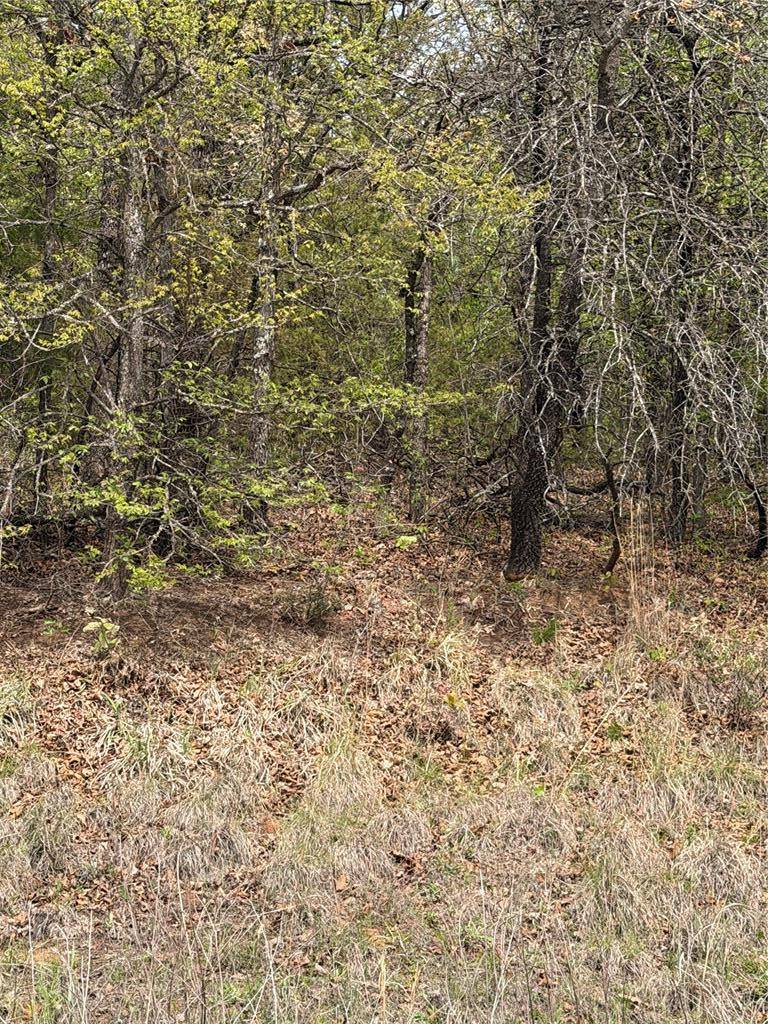 17980 S Cliff RD, Newalla, OK 74857
