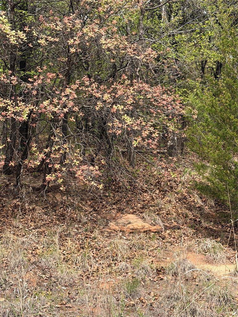 17980 S Cliff RD, Newalla, OK 74857