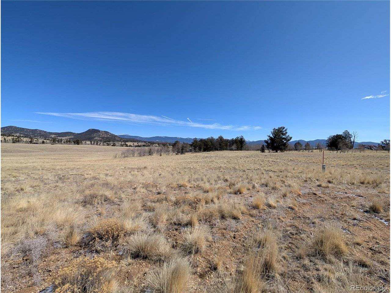67 Colt, Jefferson, CO 80456