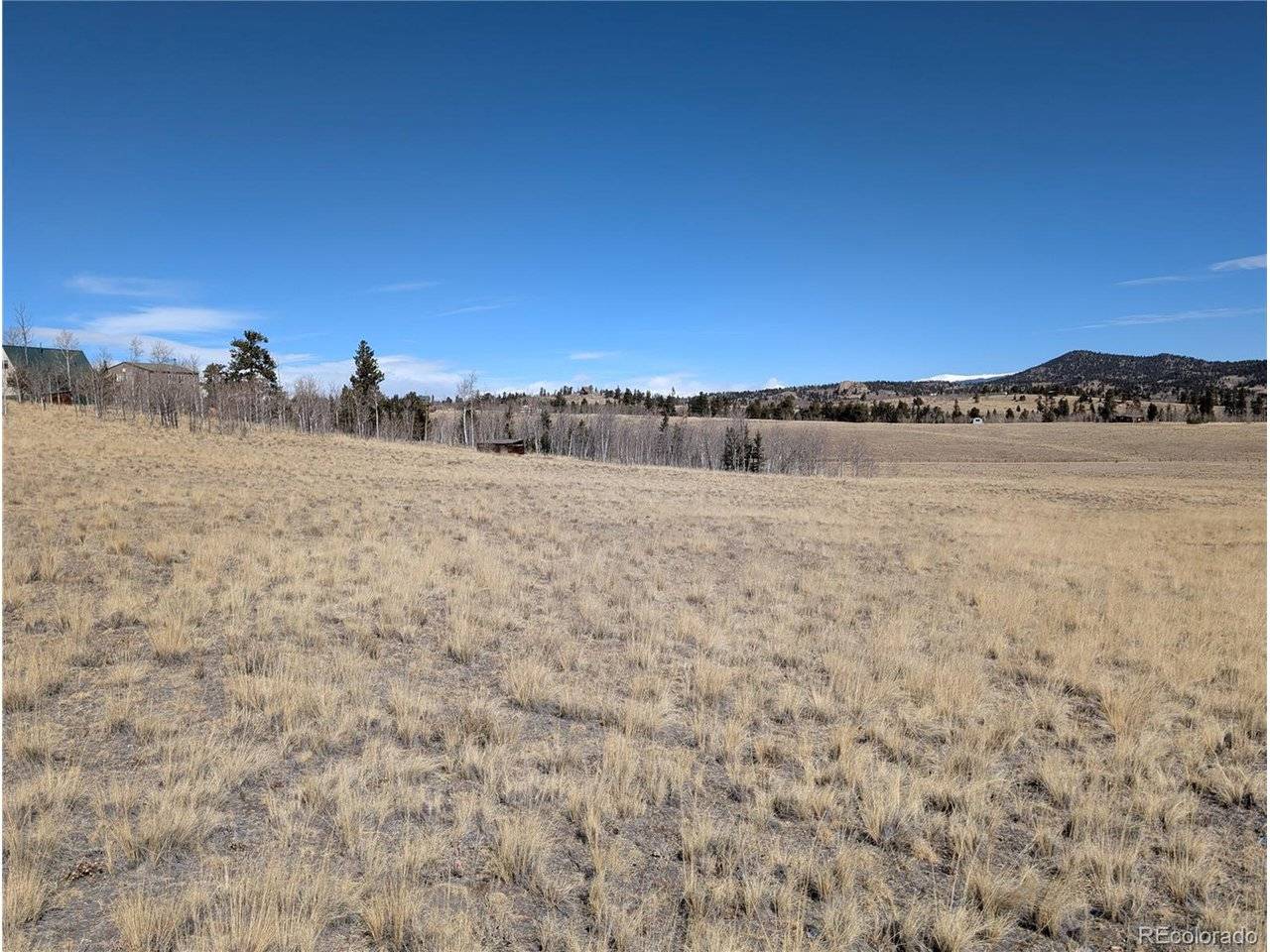 67 Colt, Jefferson, CO 80456