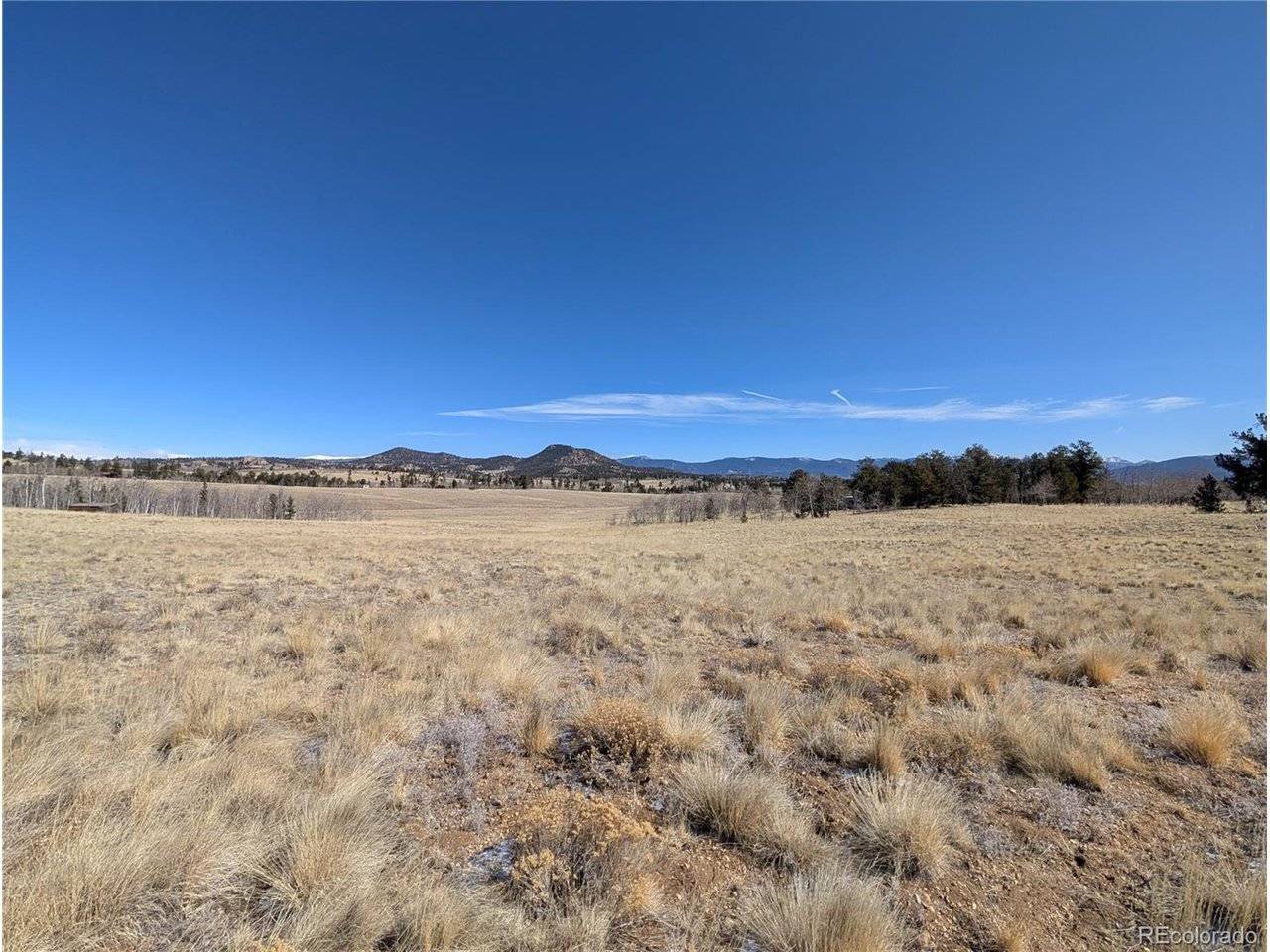 67 Colt, Jefferson, CO 80456
