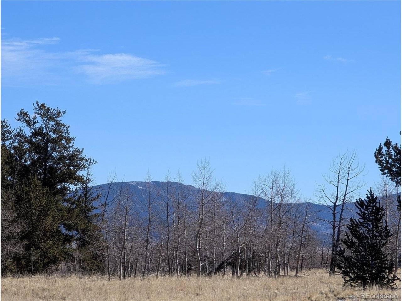 67 Colt, Jefferson, CO 80456