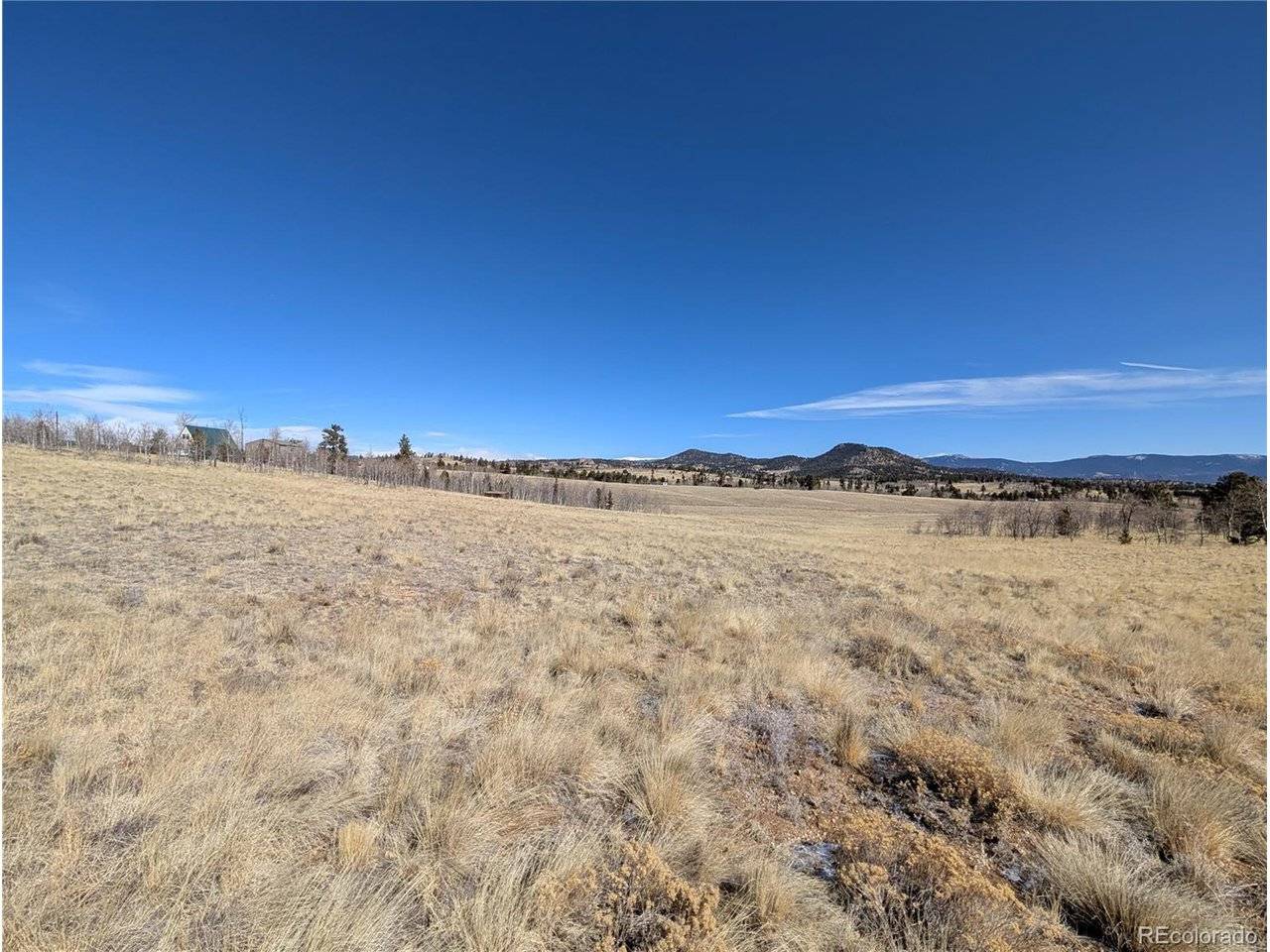 67 Colt, Jefferson, CO 80456