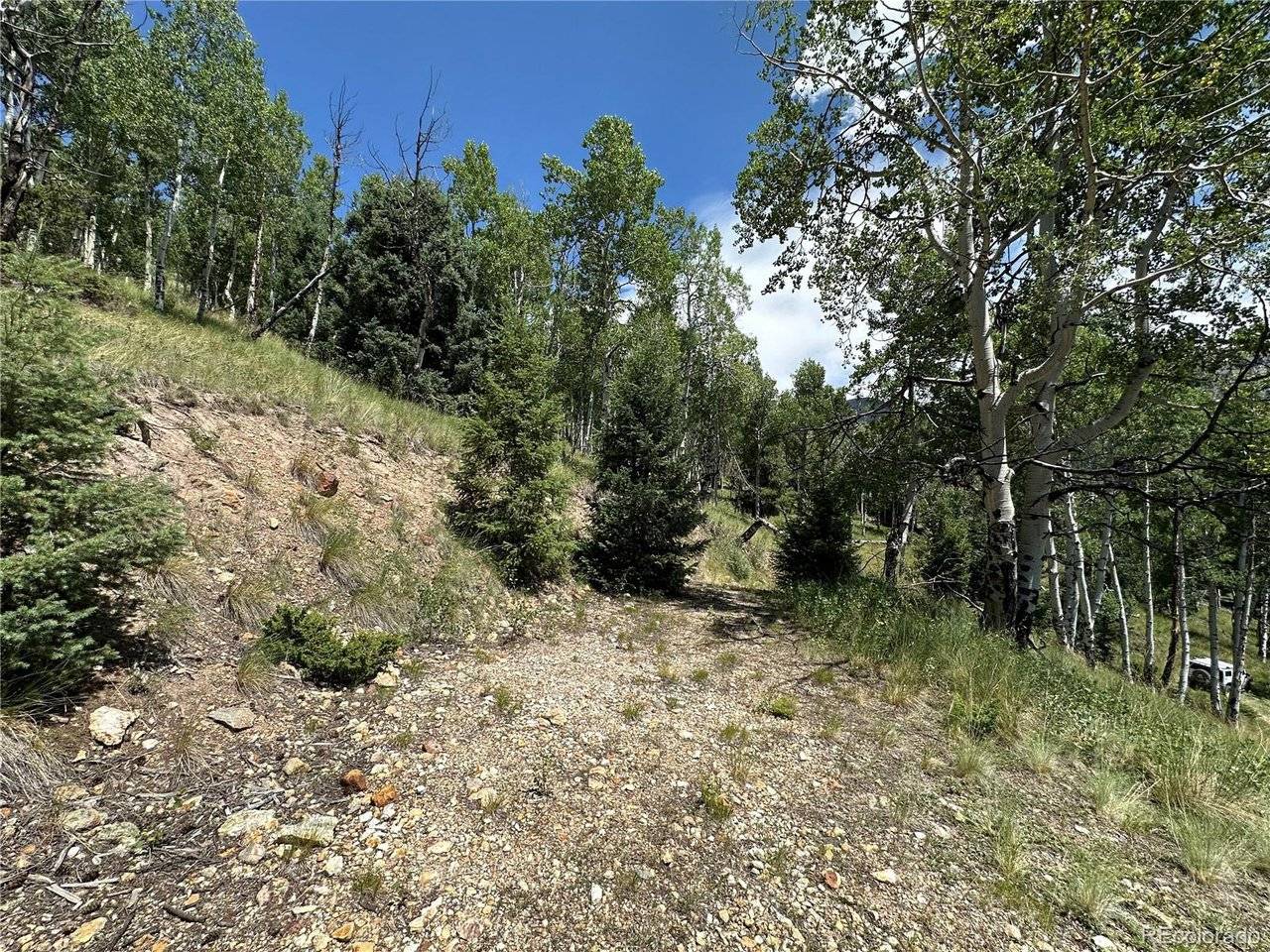 Calkins, Jasper, CO 81132