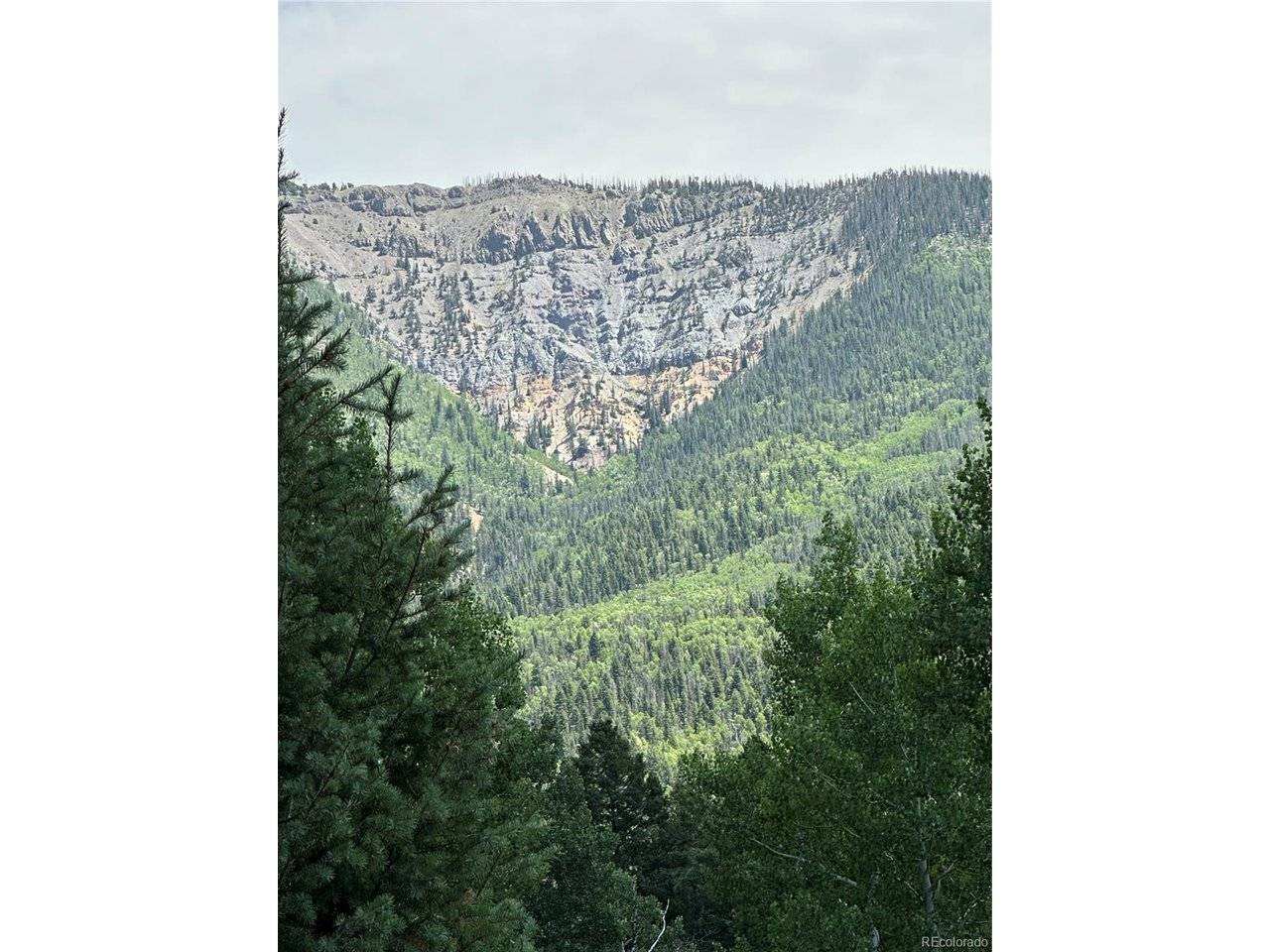 Calkins, Jasper, CO 81132