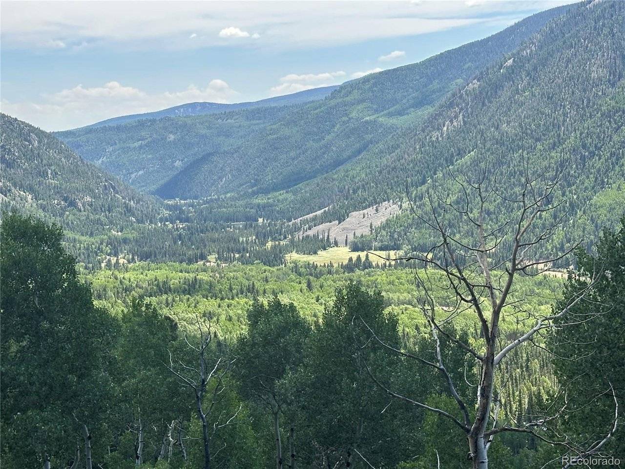 Calkins, Jasper, CO 81132
