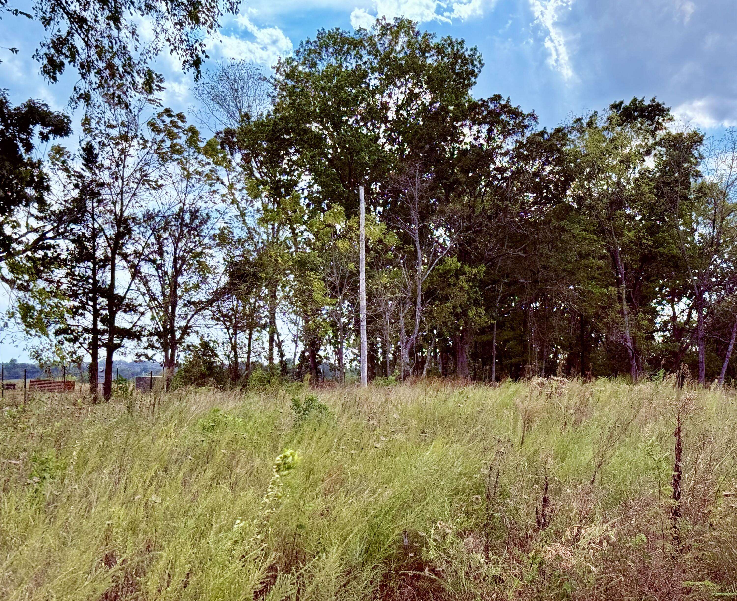 1002 Dys DR, Cabool, MO 65689