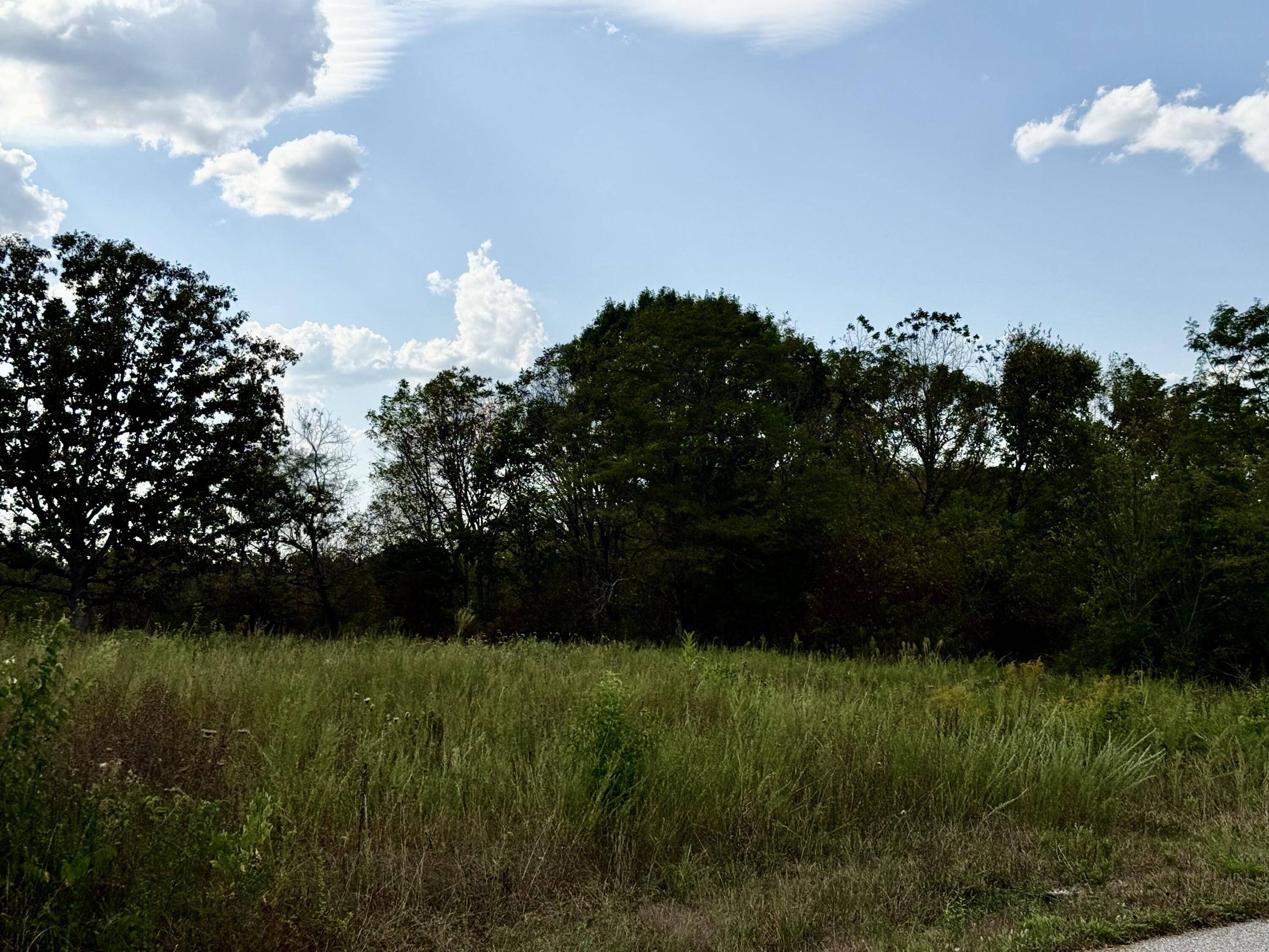 1002 Dys DR, Cabool, MO 65689