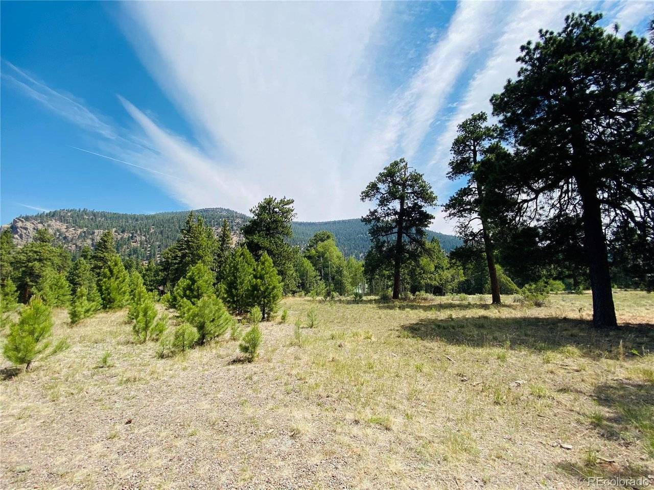 133 W Canyon View, Antonito, CO 81120