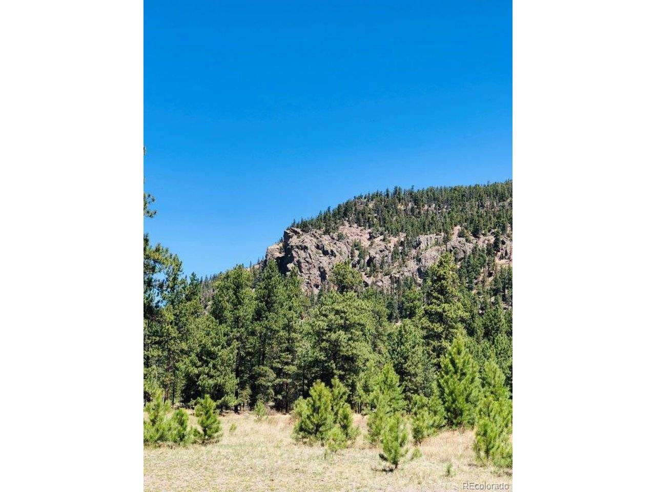 133 W Canyon View, Antonito, CO 81120