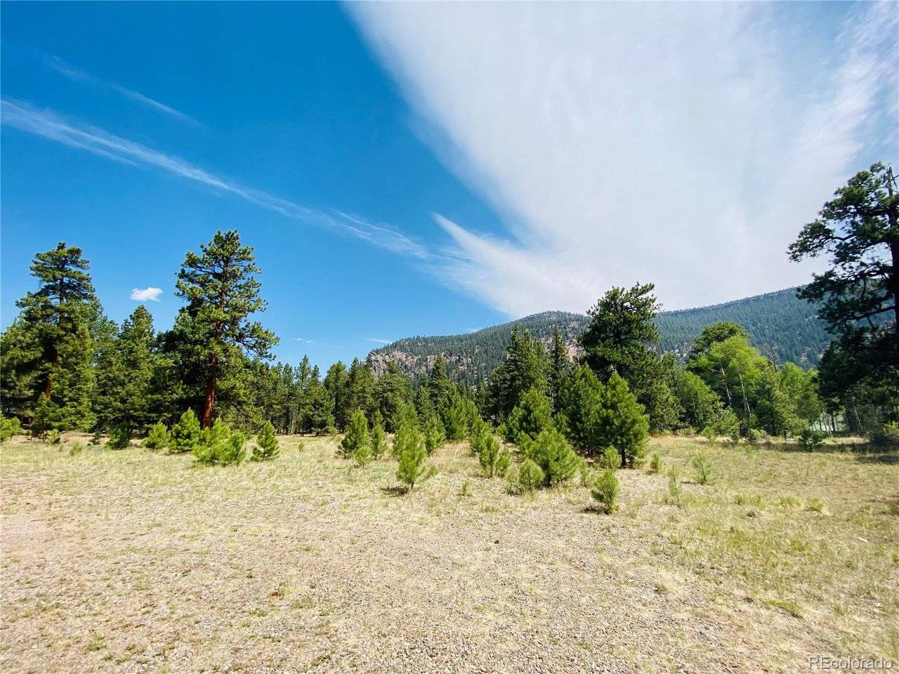 133 W Canyon View, Antonito, CO 81120