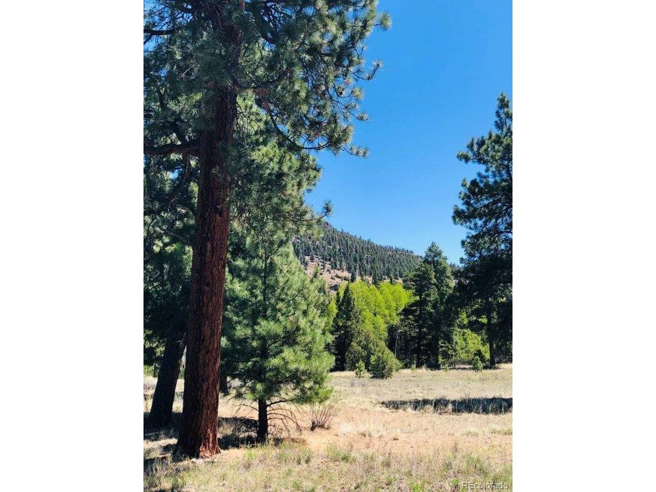 133 W Canyon View, Antonito, CO 81120