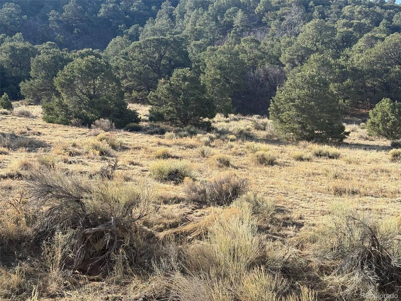 146 CL&G, Gardner, CO 81040
