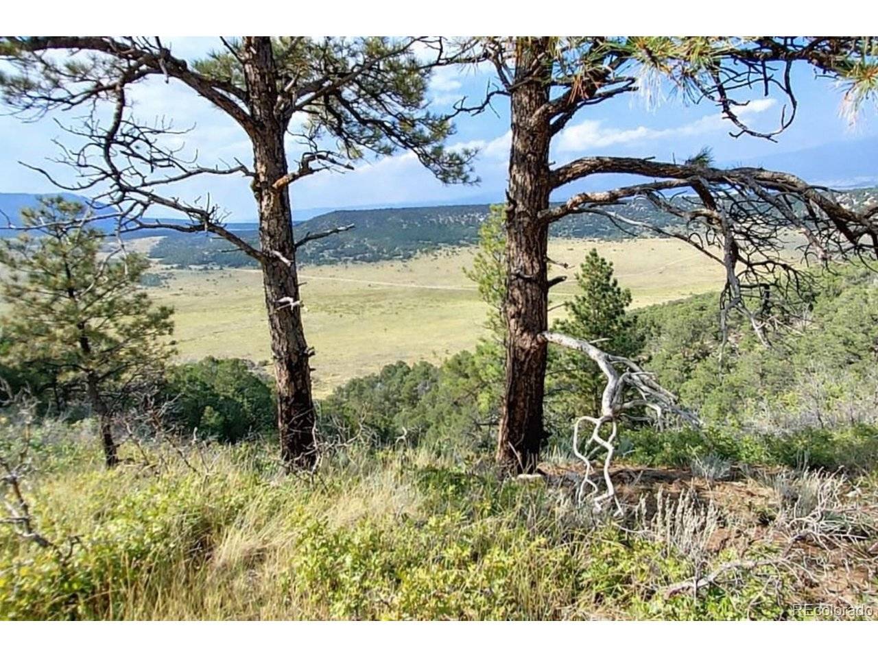 146 CL&G, Gardner, CO 81040