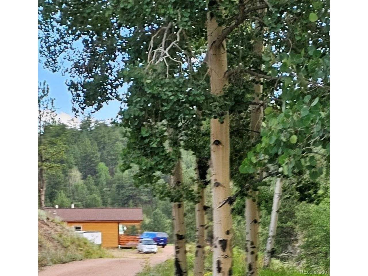 Address not disclosed, Guffey, CO 80820