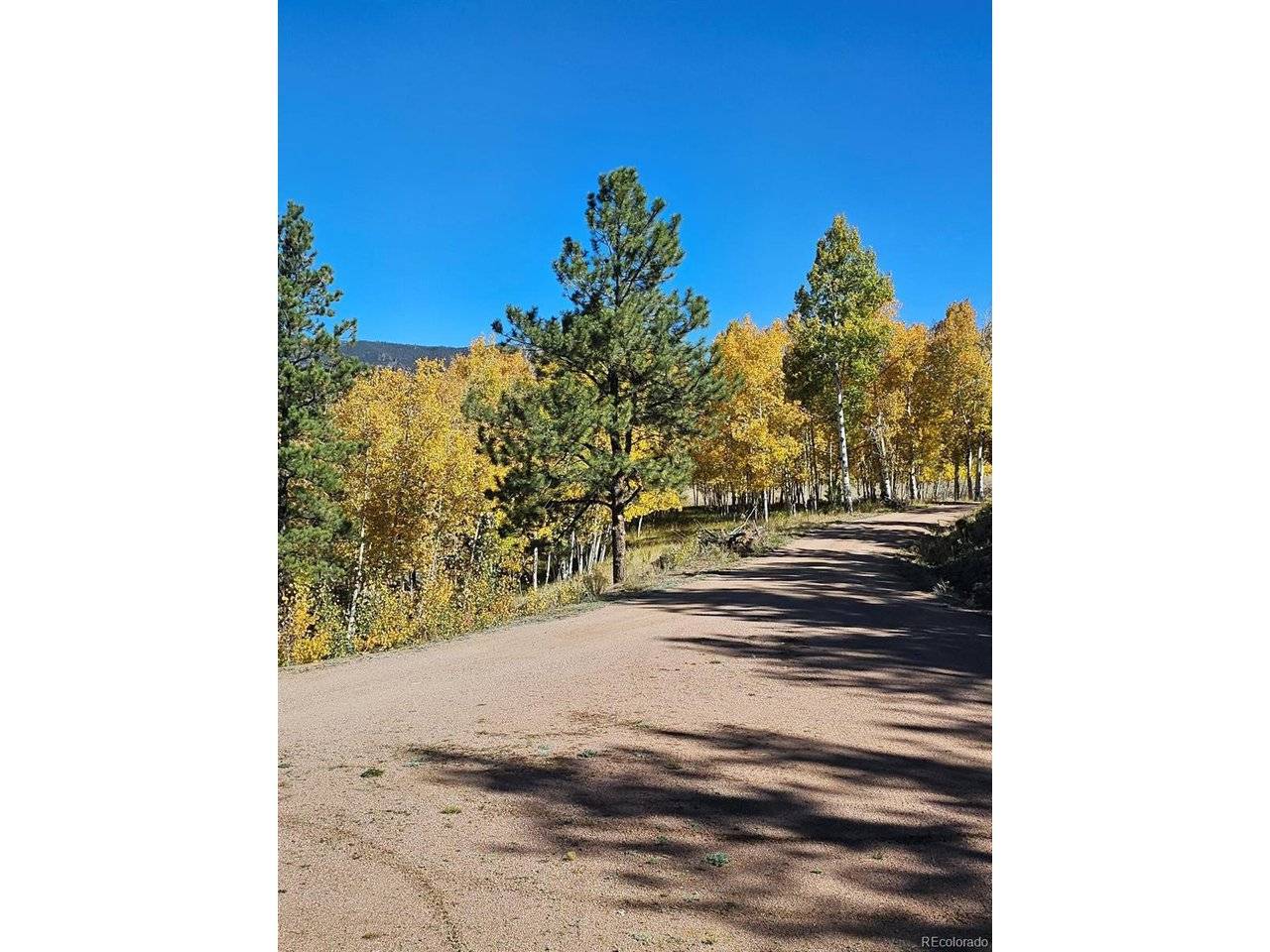 Address not disclosed, Guffey, CO 80820