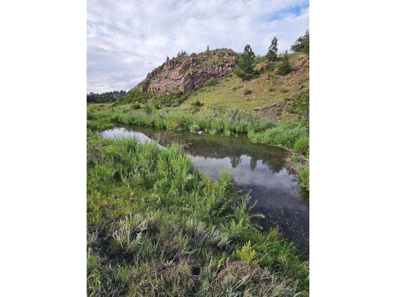 Address not disclosed, Guffey, CO 80820