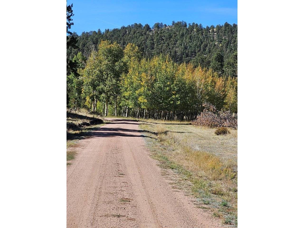 Address not disclosed, Guffey, CO 80820